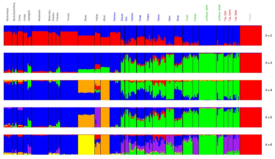 admixture.jpg