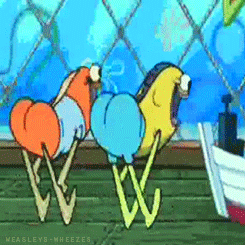 kMhjaJX.gif