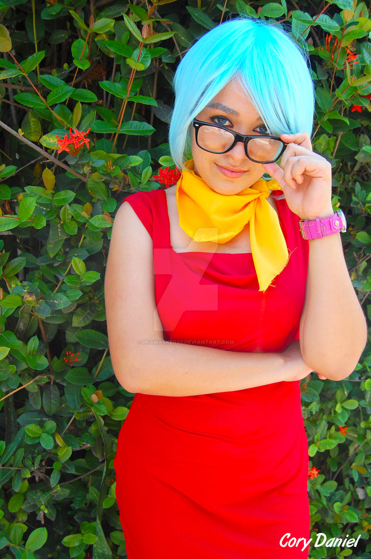 bulma_briefs_id_by_iriswalker03-d49yrc7.jpg