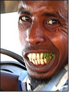 calal.jpg
