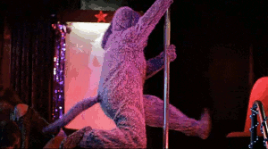 giphy.gif