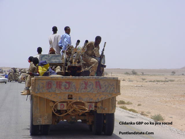 ciidanaka2.jpg