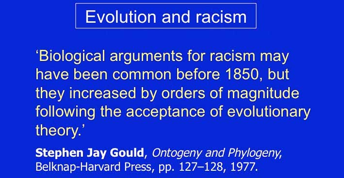 gould-racism.jpg