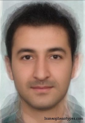 anatolidm.jpg