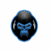 networthgorilla.com