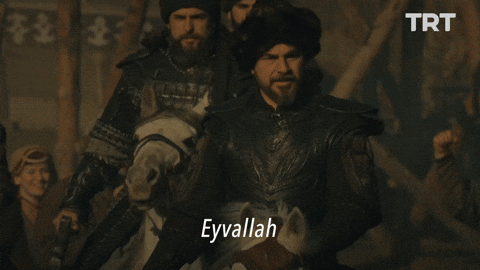 giphy.gif