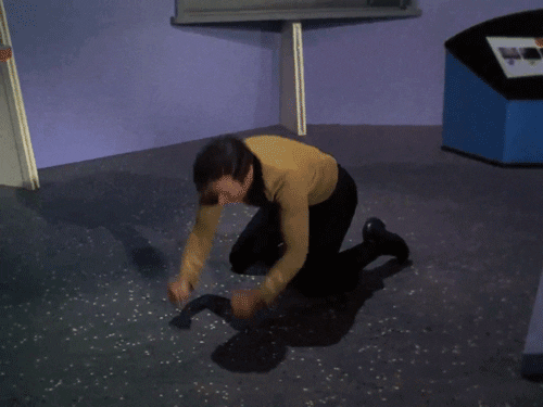 giphy.gif