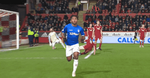 giphy.gif