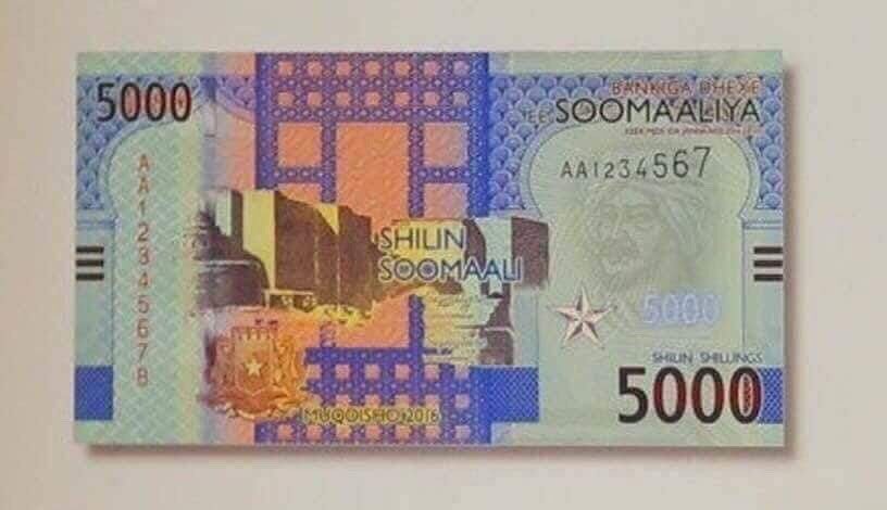 halqabsi.com