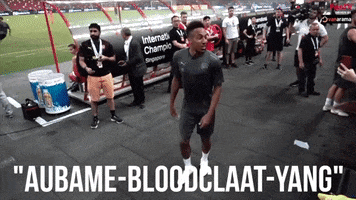 arsenal arsenalfantv GIF by AFTV