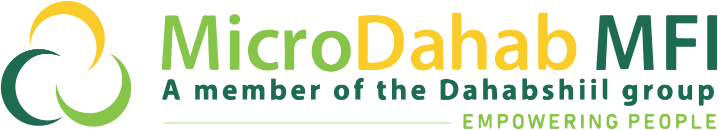 microdahabmfi.com