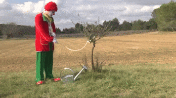 200.gif
