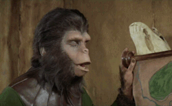tumblr_olax88kkNT1vkzuj9o1_250.gif