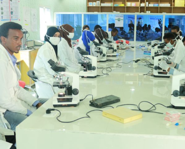 practical-laboratory-class-598x480.jpg