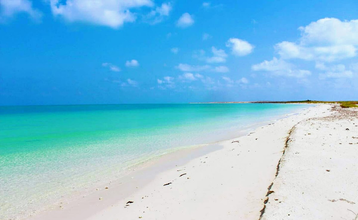 AF1QipM3CAcaPJTceFLar9TK3cEOVP7dTecRjMrZ5m6C=s1600-w1200