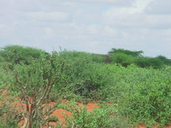3034287639_bf877c6347_m.jpg