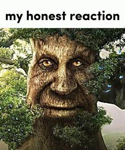 my honest reaction