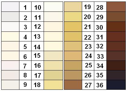 Felix_von_Luschan_Skin_Color_Chart.JPG