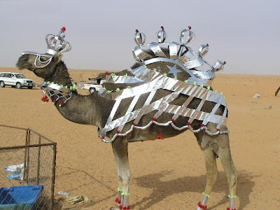 CamelDressedUp.jpg