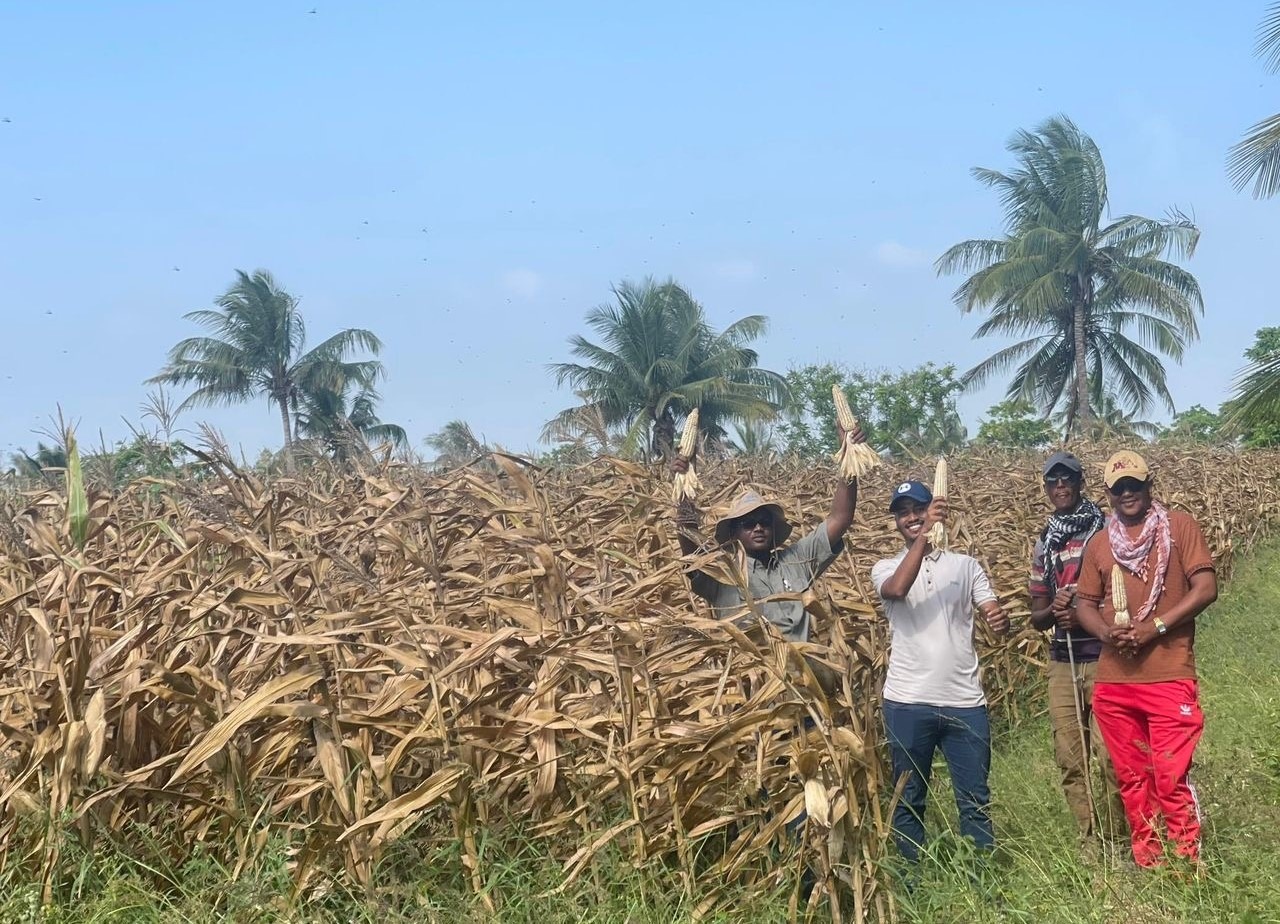 seedsystemsgroup.org