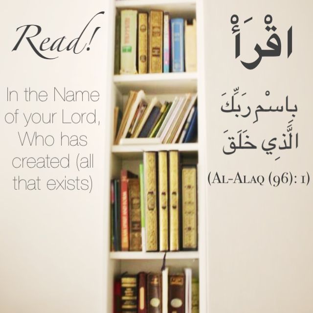 d8c1bedb82e61ed72b897ef65c3f95e1.jpg
