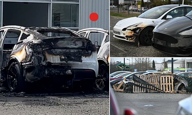 www.dailymail.co.uk
