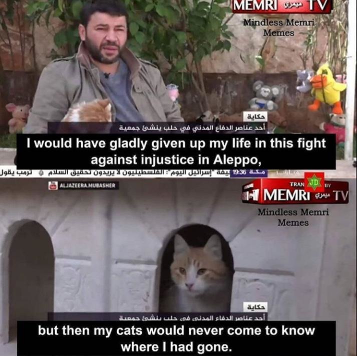 zeOuJ5j.jpg