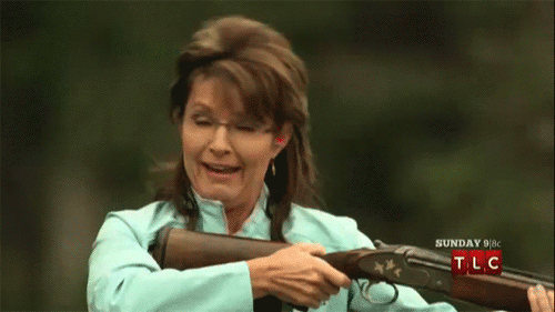 sarahpalinshooting1.gif
