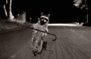 Dancing_81ce46_349289_zps5d98221c.gif
