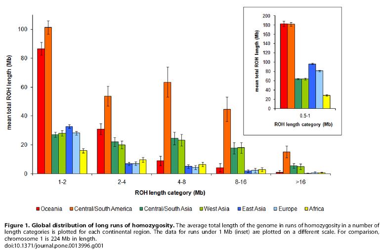 runs-of-homozygosity.jpg