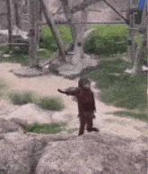 give-me-give-it-to-me.gif