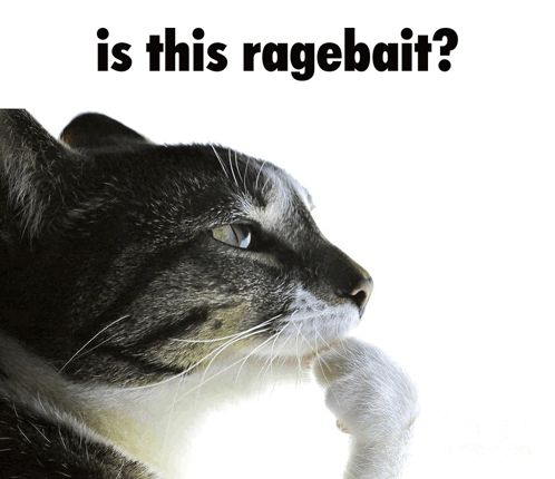 Ragebait Is This Ragebait Meme - Ragebait Is this ragebait Cat - Discover &  Share GIFs