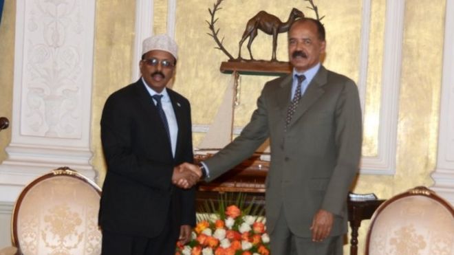 _102732311_farmajo_afwerki.jpg