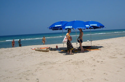 IMG_6324.jpg