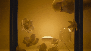 200.gif