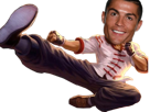 Other qlf ronaldo lee sin high kick hiku Sticker