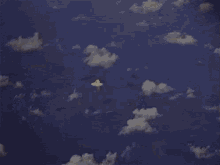 tenor.gif