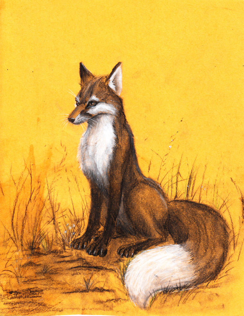 fox_sketch_by_spaceweasel6032-d33v1ux.jpg