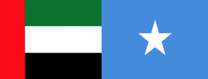 thesomalidigest.com
