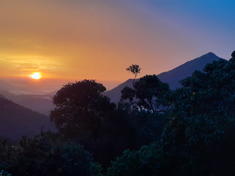Indian Jungle - unedited