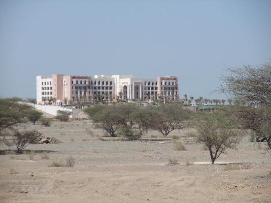 the-hotel-in-the-middle.jpg