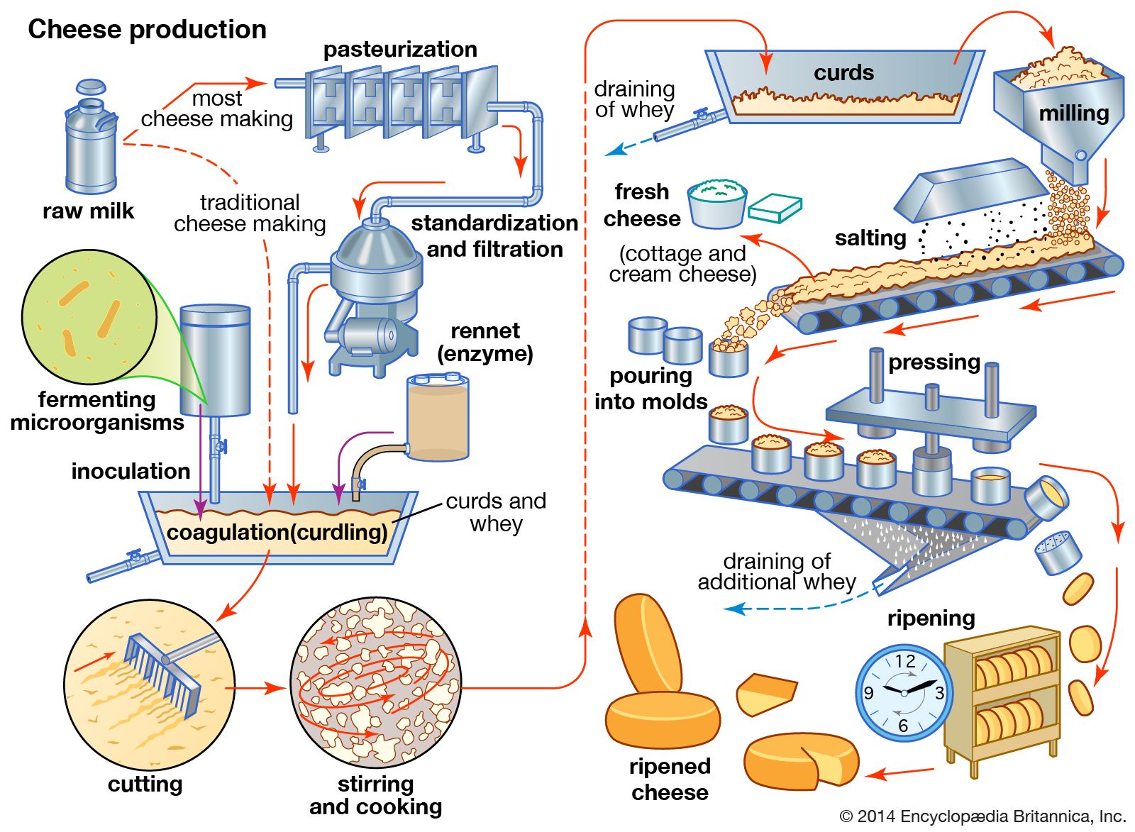 cheese-making-process.jpg