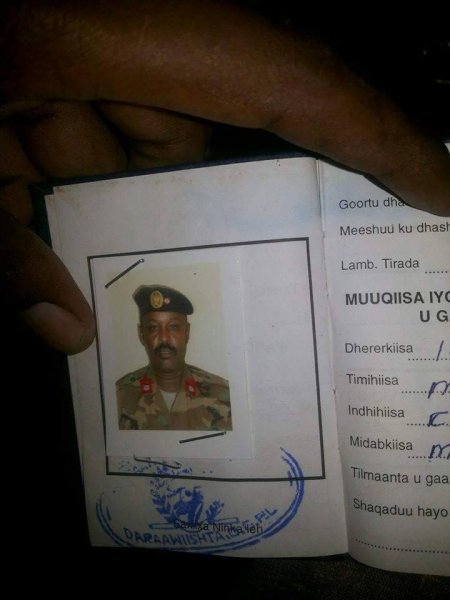 taliyaha2.jpg