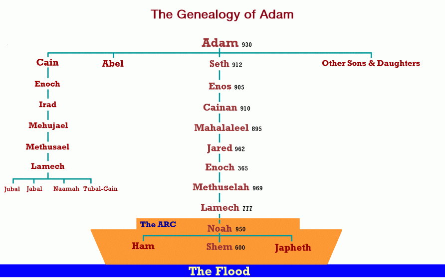 geneology_adam1.gif