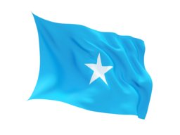 flag_256.jpg