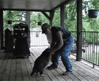 200w.gif