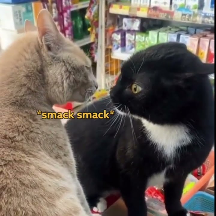 youtube.com