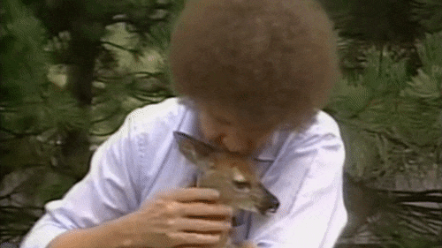 mQPu8XH.gif