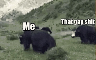 tenor.gif