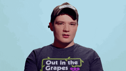 giphy.gif